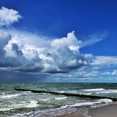 Meridiamus 1 - Ferienhaeuschen In Boddennaehe * Ribnitz-Damgarten