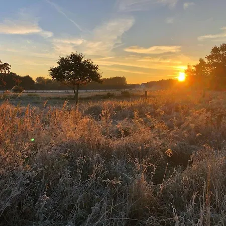 Meridiamus 1 - Ferienhaeuschen In Boddennaehe Διαμέρισμα
