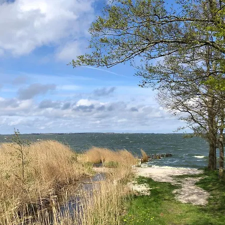 Διαμέρισμα Meridiamus 1 - Ferienhaeuschen In Boddennaehe