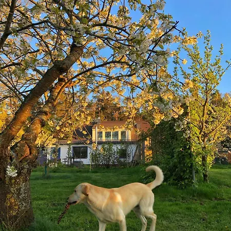 Meridiamus 1 - Ferienhaeuschen In Boddennaehe Διαμέρισμα *