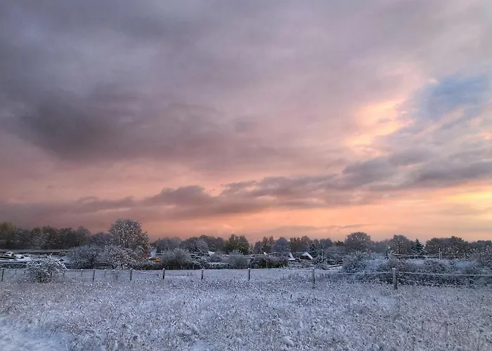 Meridiamus 1 - Ferienhäuschen In Boddennähe