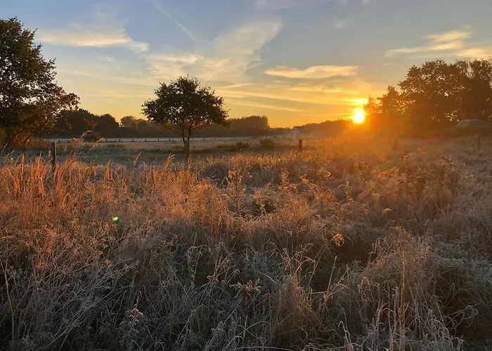 Meridiamus 1 - Ferienhäuschen In Boddennähe Apartment