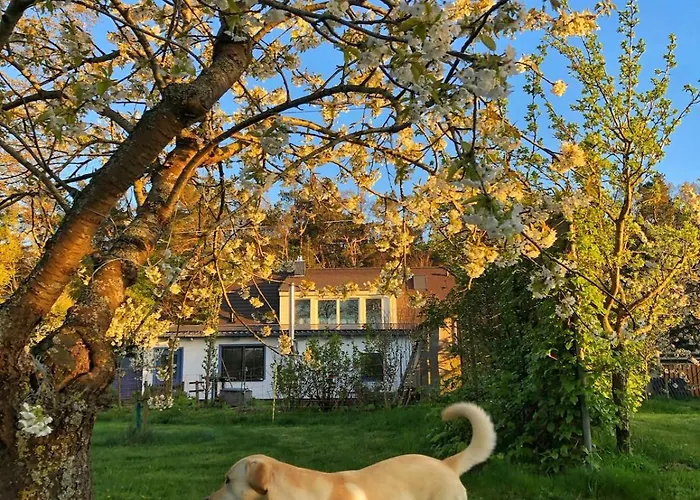 Meridiamus 1 - Ferienhäuschen In Boddennähe Apartment *